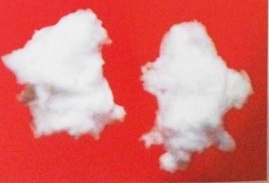 �ͻ����ϲ�Ʒ