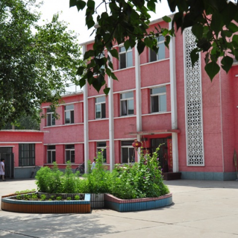 ����������Ч����Ŀ