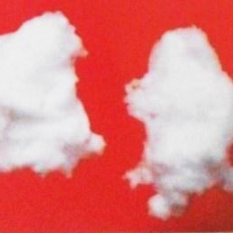 �ͻ����ϲ�Ʒ